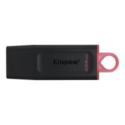 Kingston Pendrive 256GB USB 3.2 DXT/256GB